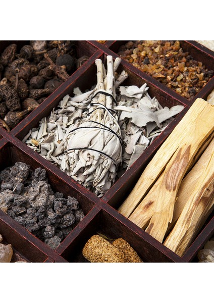 Palo Santo Edp 100 ml Unisex Parfüm modelleri