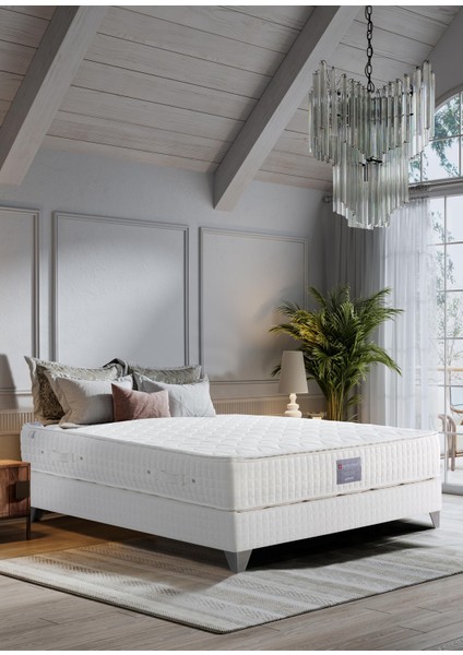 Switzerland Premium Plus Tek Kişilik Yatak 90X200 cm fiyatları
