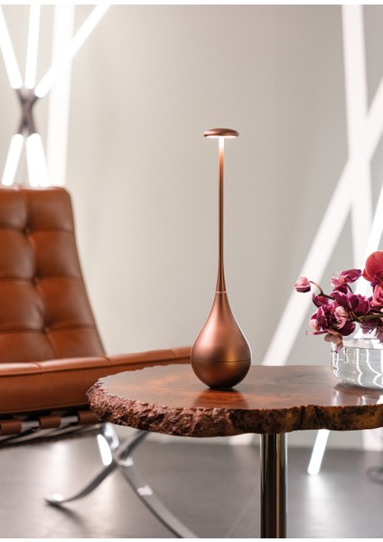 Dondolina Bronz Şarjlı LED Masa Lambası fiyatları