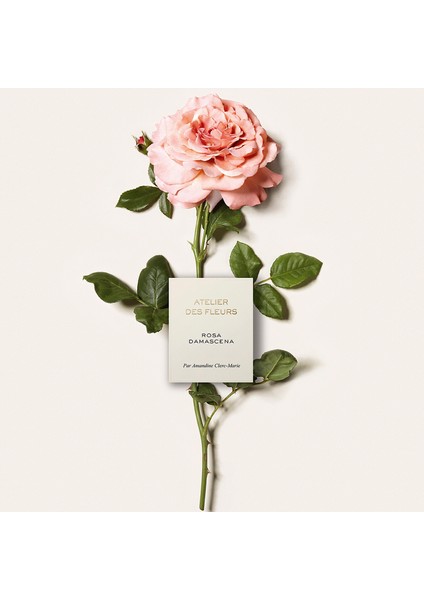 Atelier Des Fleurs Rosa Damascena Edp 150 ml modelleri