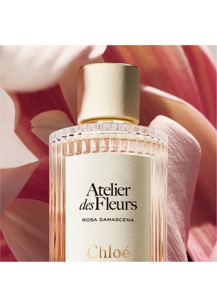Atelier Des Fleurs Rosa Damascena Edp 150 ml fırsatları