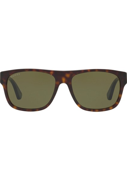 Tortoise Desenli Unisex Güneş Gözlüğü