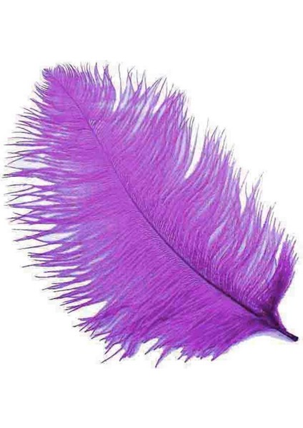 Tüy (Kalem ve Organizasyon Için) 30*35 cm Mor Pk:1