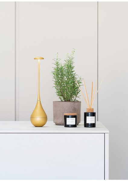 Dondolina Altın Rengi Şarjlı LED Masa Lambası fiyatları