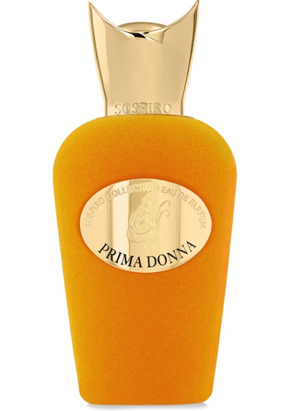 Prima Donna Eau De 100 ml Unisex Parfüm
