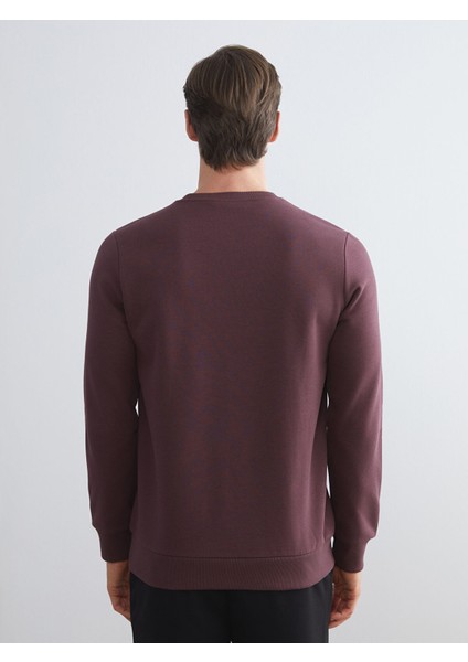 Yeni Sezon Bisiklet Yaka Baskılı Erkek Sweatshirt fırsatları