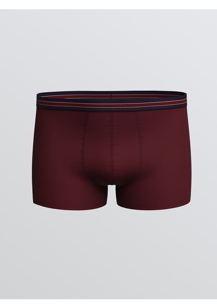 Yeni Sezon Büyük Beden Standart Kalıp Pamuklu Esnek Erkek Boxer 3'lü modelleri