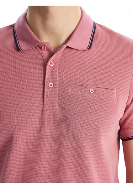 Yeni Sezon Polo Yaka Kısa Kollu Erkek Dokulu Tişört modelleri