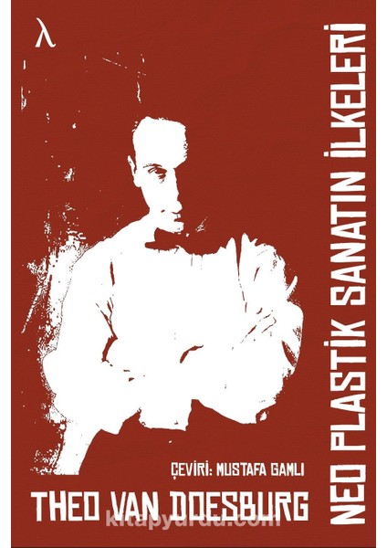 Neo Plastik Sanatın Ilkeleri