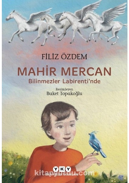 Mahir Mercan / Bilinmezler Labirenti’nde