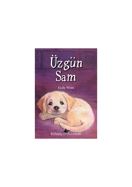 Üzgün Sam