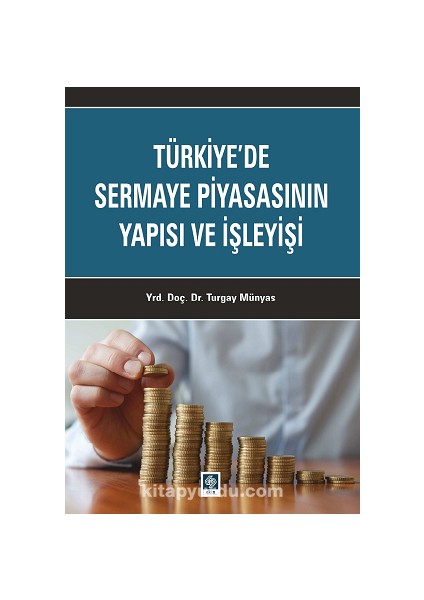 Türkiye'de Sermaye Piyasasının Yapısı ve Işleyişi