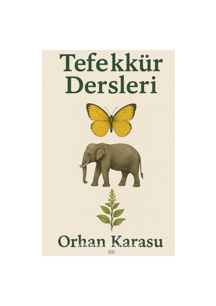 Tefekkür Dersleri