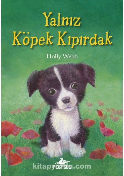 Yalnız Köpek Kıpırdak