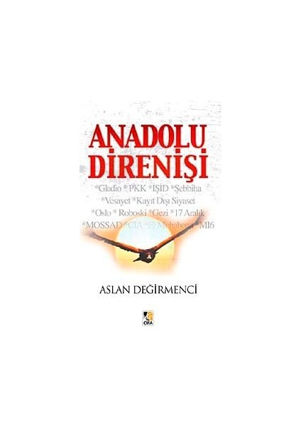 Anadolu Direnişi