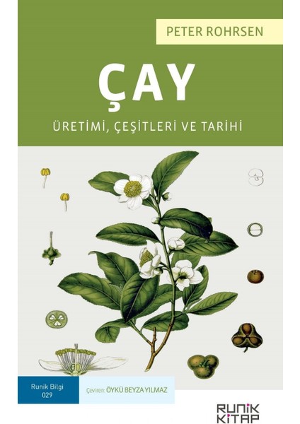 Çay: Üretimi, Çeşitleri ve Tarihi