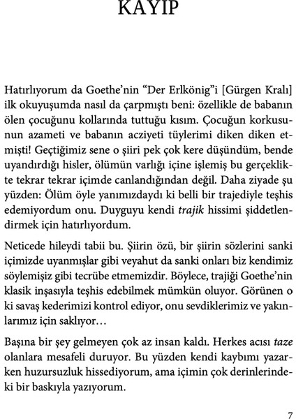 Saraybosna Blues - Semezdin Mehmedinoviç modelleri