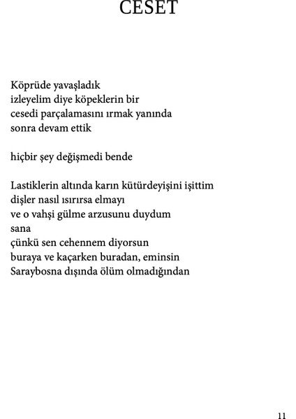 Saraybosna Blues - Semezdin Mehmedinoviç