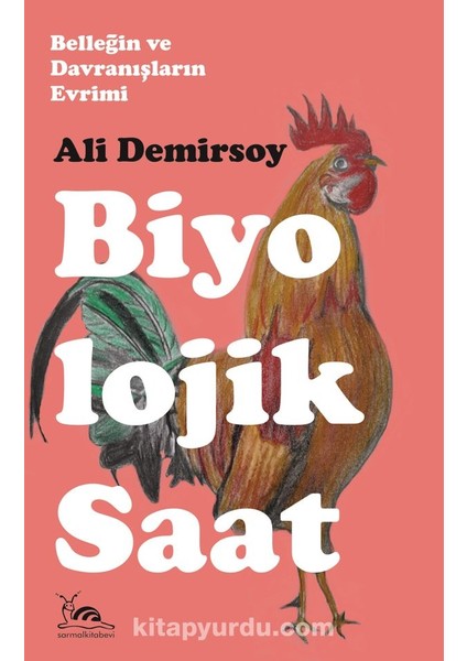 Biyolojik Saat Belleğin ve Davranışların Evrimi