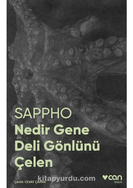 Nedir Gene Deli Gönlünü Çelen (Fotoğraflı Klasikler)