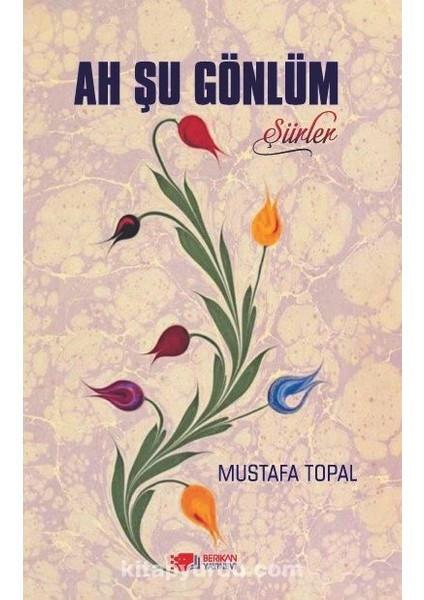 Ah Şu Gönlüm Şiirler