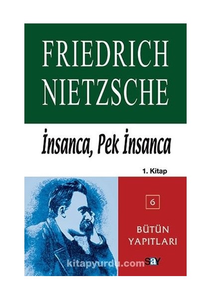 Insanca, Pek Insanca 1. Kitap