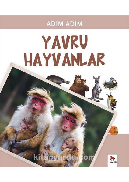 Adım Adım Yavru Hayvanlar