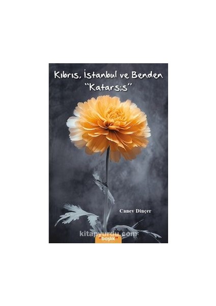 Kıbrıs, Istanbul ve Benden “katarsis”