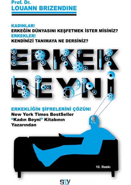 Erkek Beyni