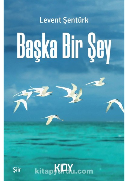 Başka Bir Şey
