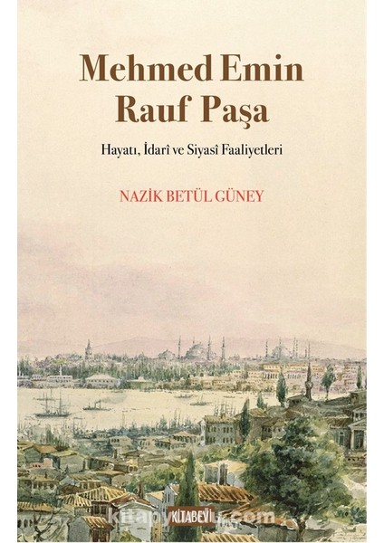 Mehmed Emin Rauf Paşa Hayatı, Idarî ve Siyasî Faaliyetleri