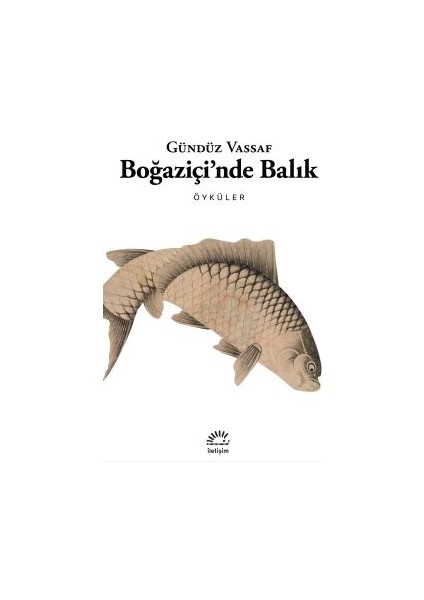 Boğaziçi’nde Balık