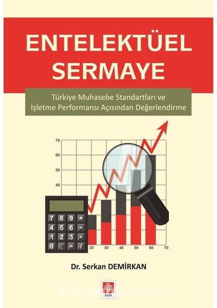 Entelektüel Sermaye