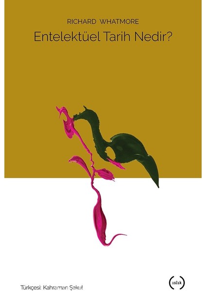 Entelektüel Tarih Nedir ?