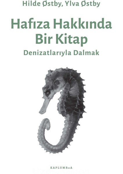 Hafıza Hakkında Bir Kitap Denizatlarıyla Dalmak