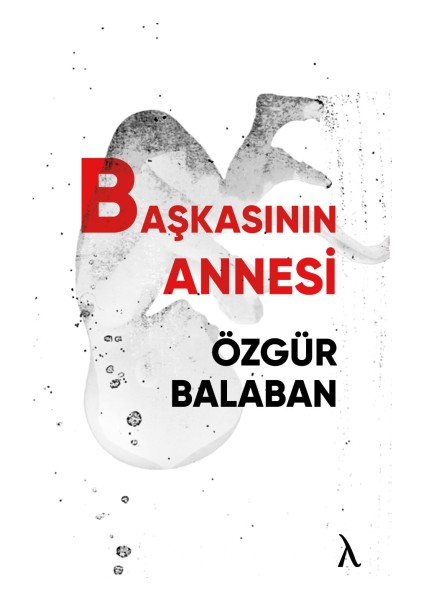 Başkasının Annesi