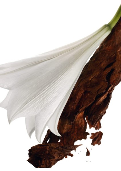 Mon Paris Edp 90ML modelleri