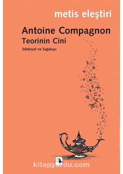 Teorinin Cini Edebiyat ve Sağduyu