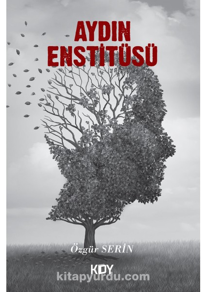 Aydın Enstitüsü