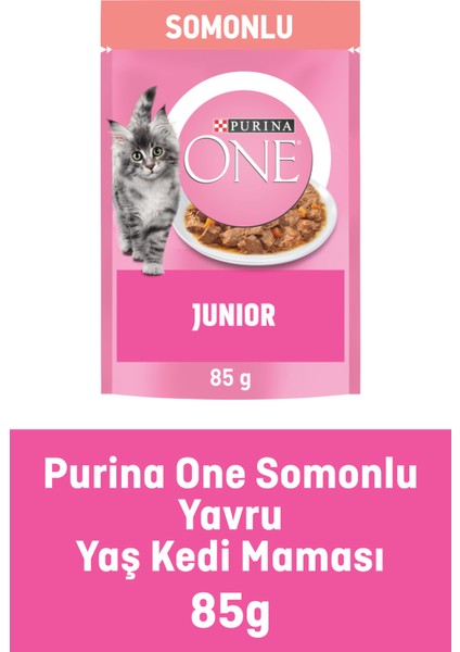 Yavru Kedi Maması Somonlu 85G