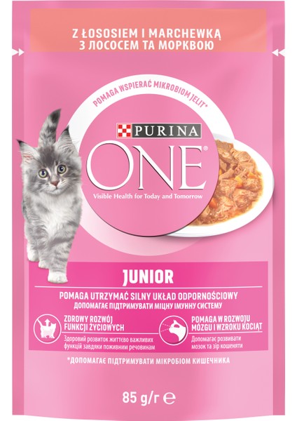 Yavru Kedi Maması Somonlu 85G fiyatları