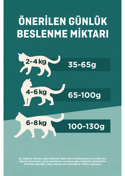 Yavru Kedi Maması Somonlu 85G fırsatları
