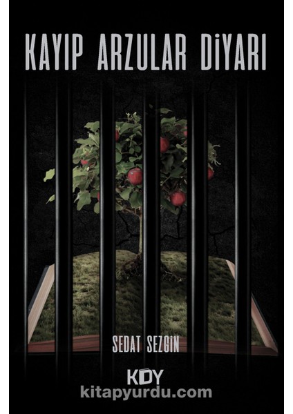 Kayıp Arzular Diyarı