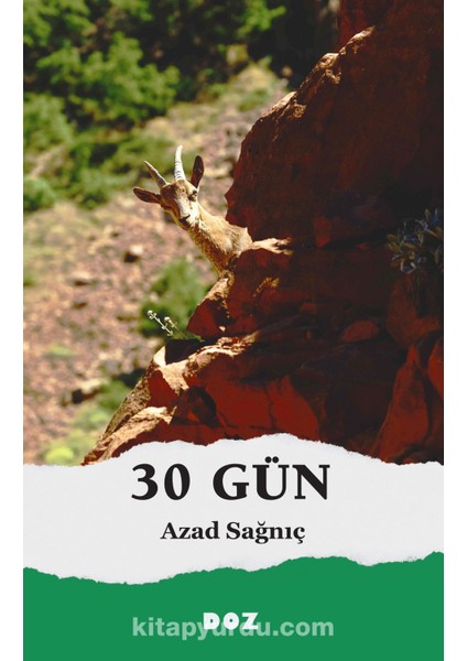 30 Gün