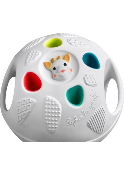 Senso Ball Kauçuk Diş Kaşıyıcı Top fiyatları