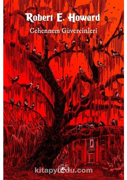 Cehennem Güvercinleri / Korku Öyküleri 1