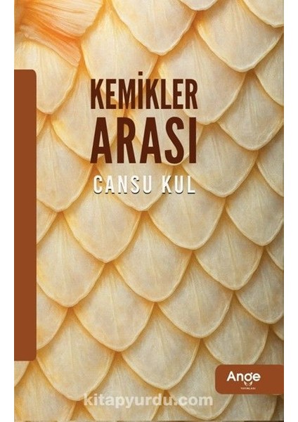 Kemikler Arası