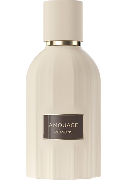 Reasons Essence De Parfum 100ML Spray