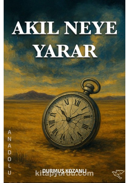 Akıl Neye Yarar