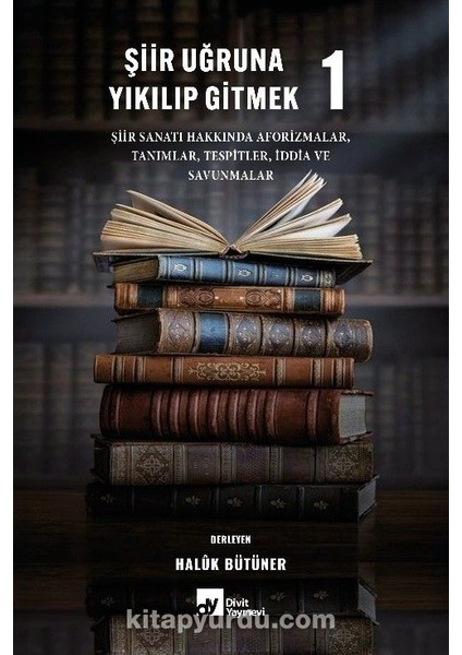 Şiir Uğruna Yıkılıp Gitmek 1